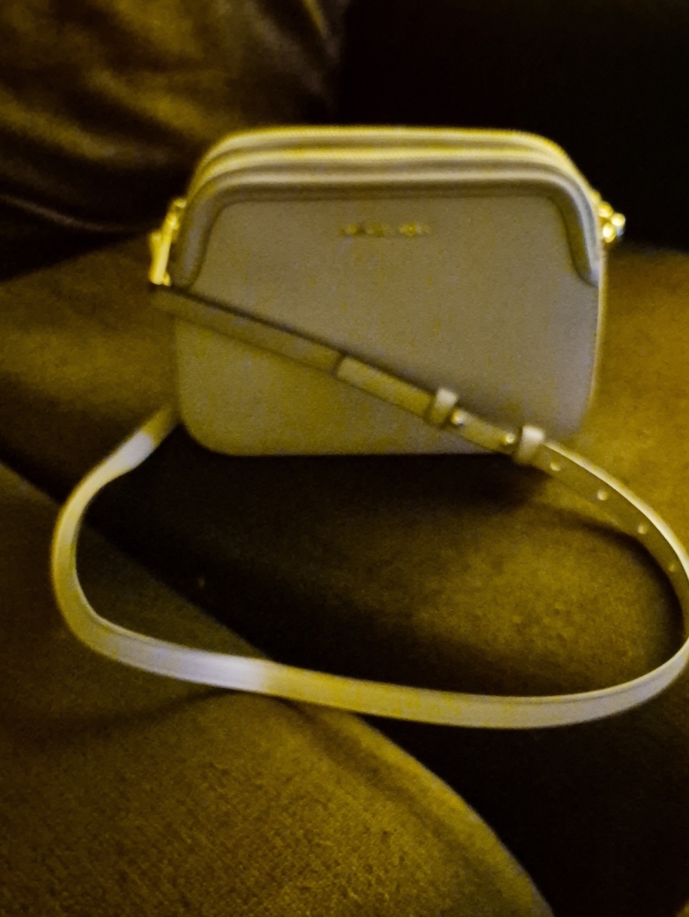 Michael Kors Light Gray Leather Crossbody Camera Bag with Gold Hardware